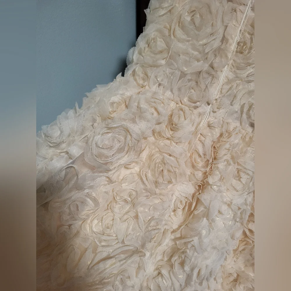 Flower Girl Dress, Roses Gold , PartyDres size 8 - Picture 11 of 14